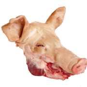 Wholesale Frozen Pork Head In Spain