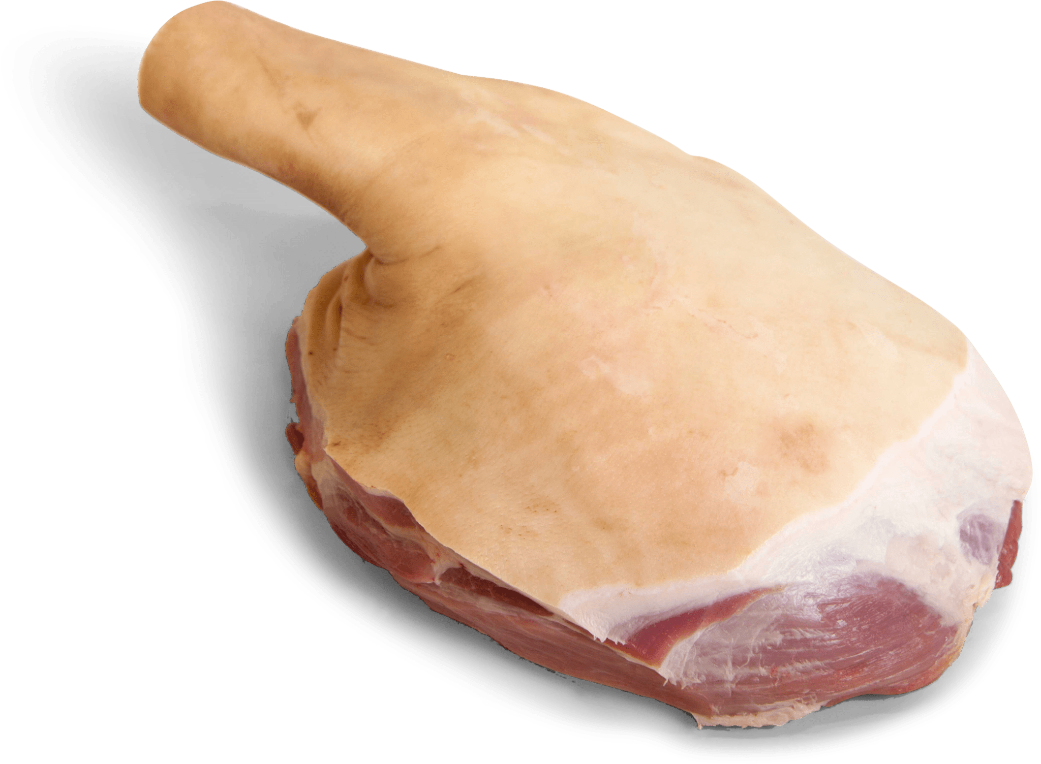 Wholesale Frozen Pork Shoulder In Spain