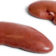 Wholesale Frozen Pork Kidney In Spain