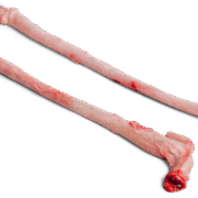 Buy Frozen Pork Penis In Spain