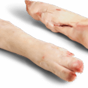 Wholesale Frozen Pork Hindfeet Long Cut